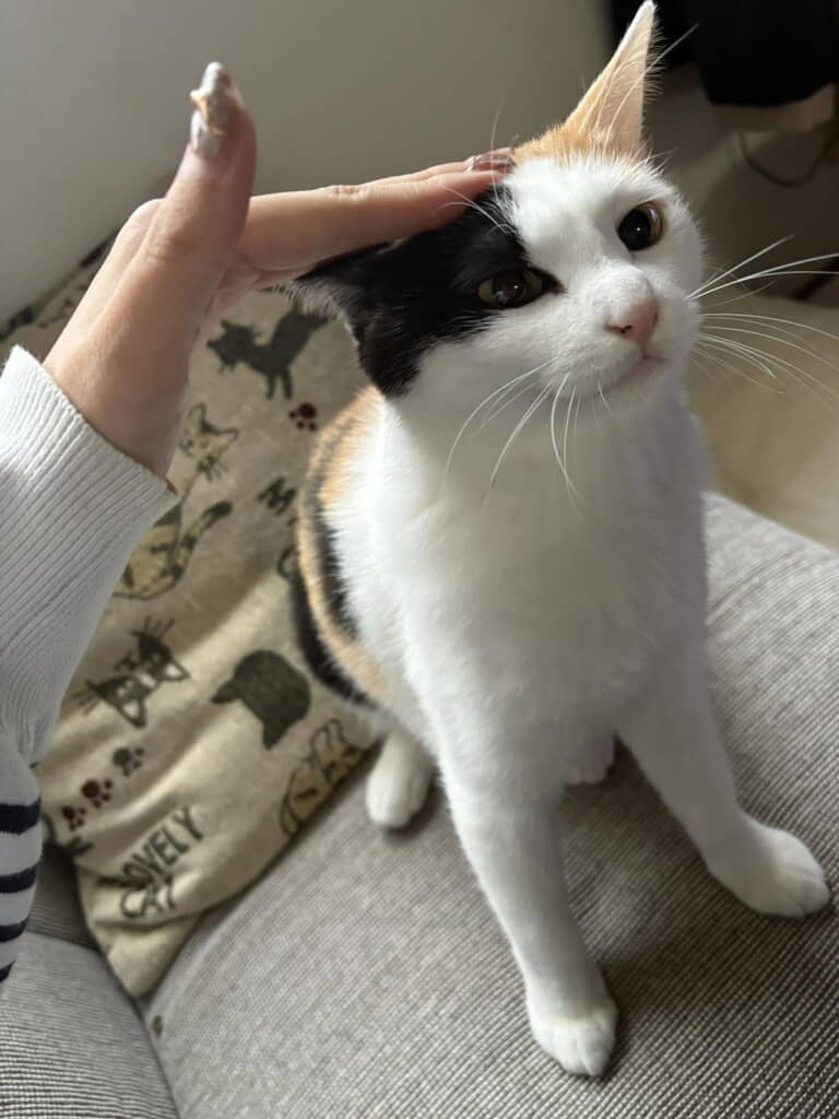 「むふふー」