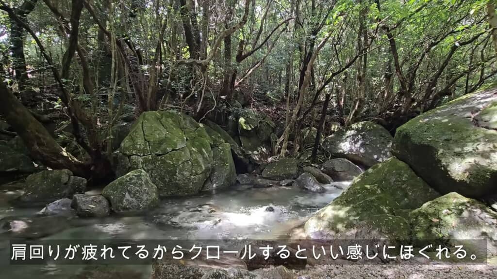 川の中でクロールをして肩周りをほぐす投稿者