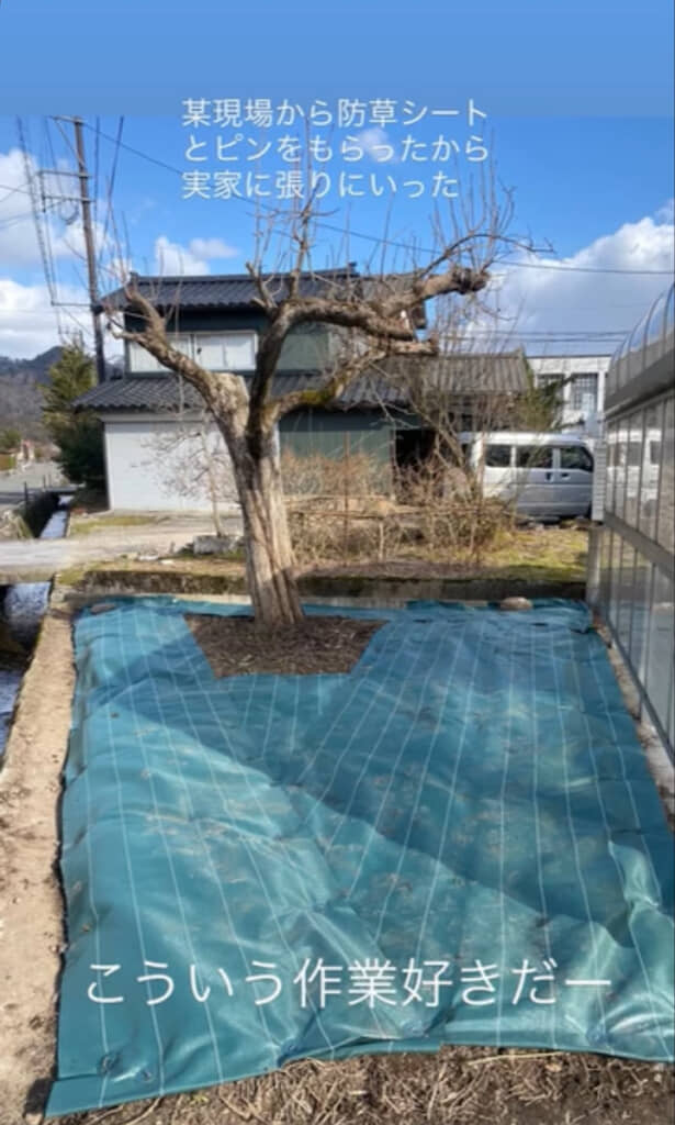 木の周りを避けて防草シートを設置