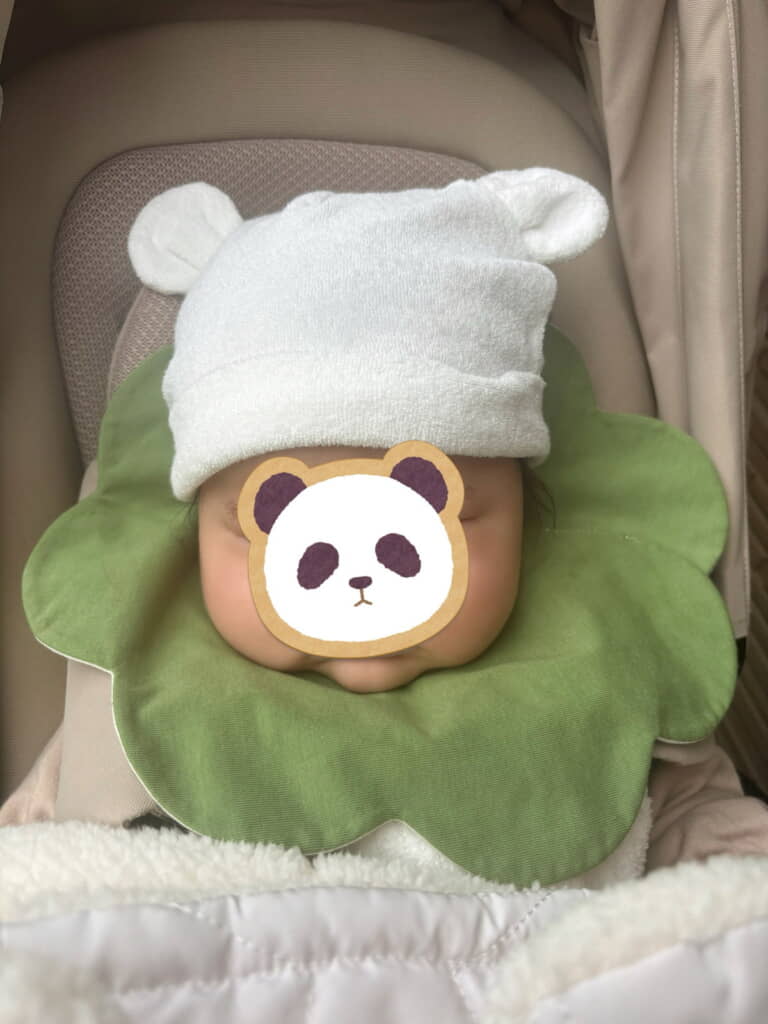 かしわ餅ちゃんだ……