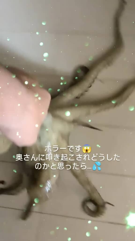慣れた様子でマダコをつかむ投稿者