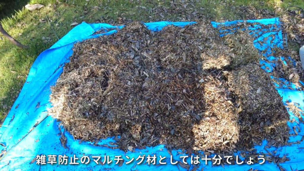 こちらをマルチング材として使用することに