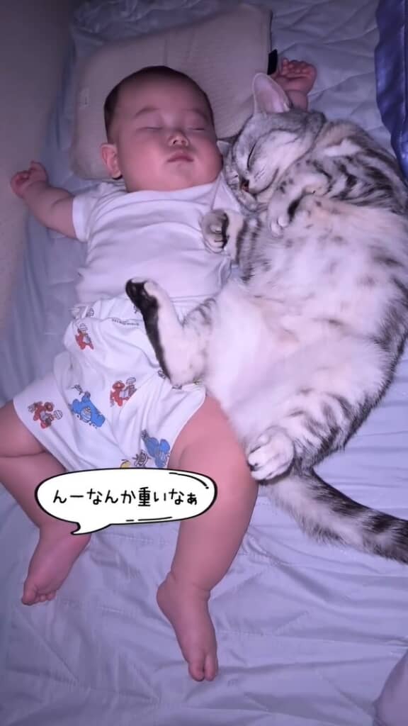 猫の脚が息子のお腹の上にのってしまっている