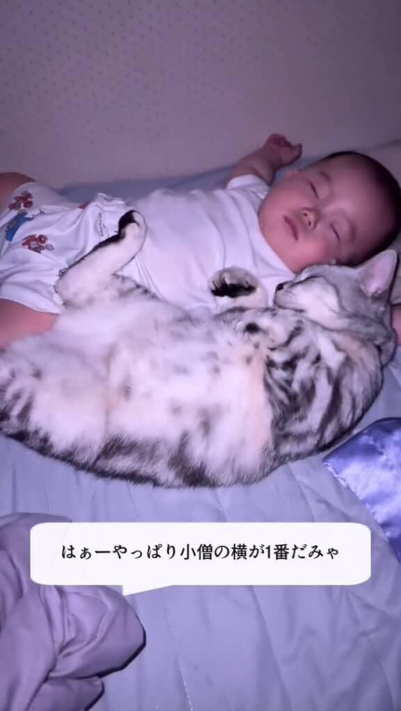 猫たちは毎晩赤ちゃんの隣で添い寝している