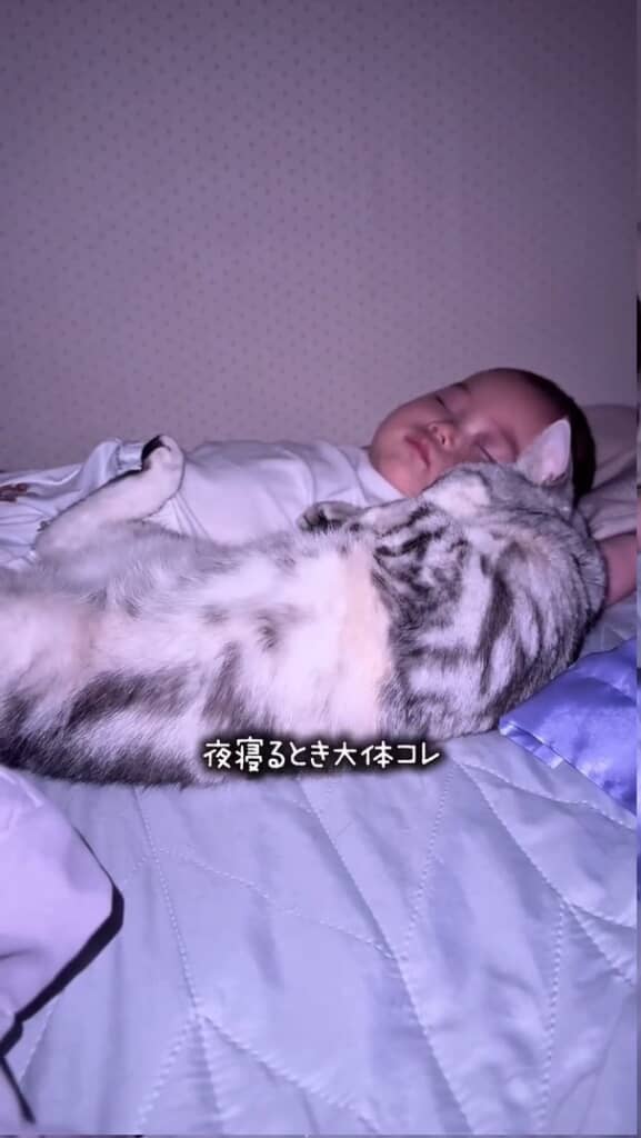 赤ちゃんが寝る時はいつも猫が一緒