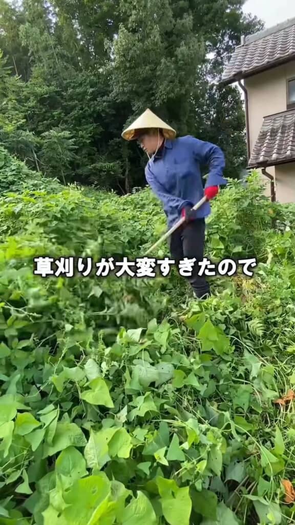 荒れ放題の畑地。草刈り機でも除草が追いつかない
