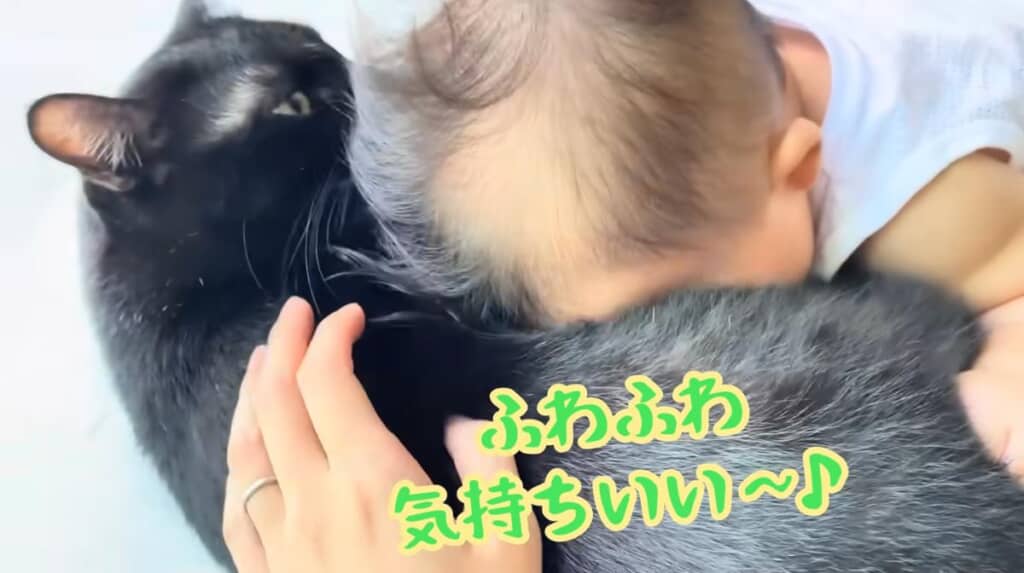 猫吸いもさせてあげます