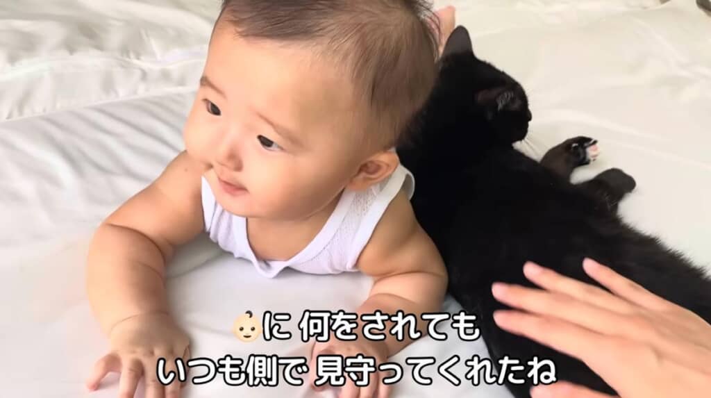 すっかり頼もしい兄猫に