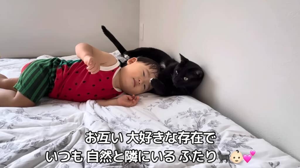お互い大好きな存在