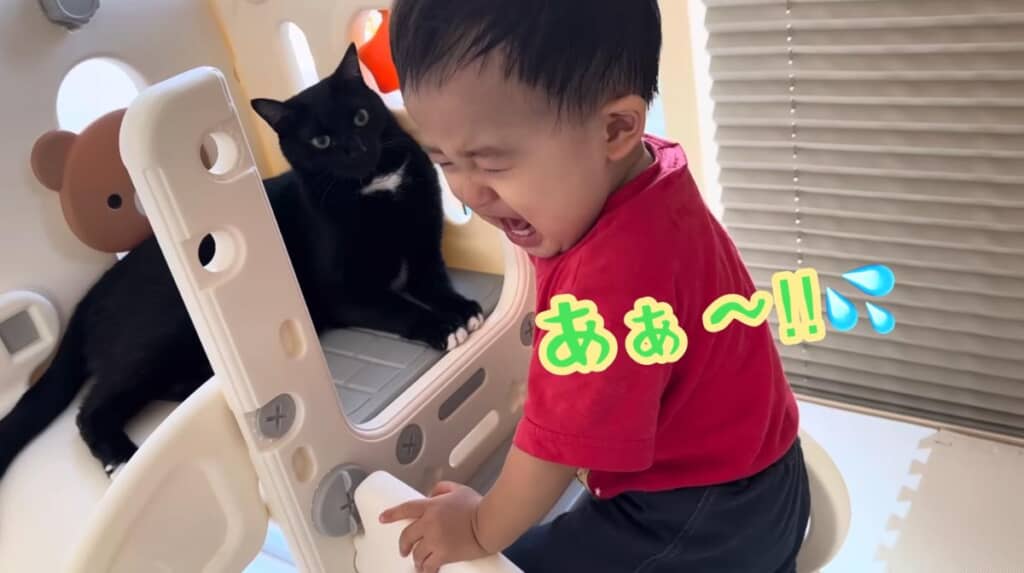 たまには喧嘩も
