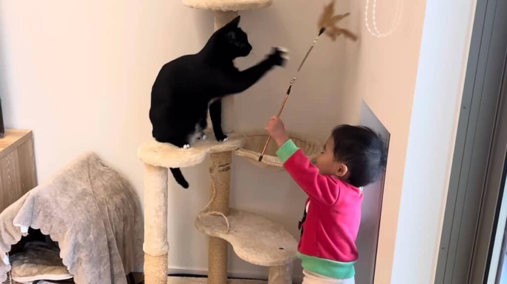 毎日楽しく過ごしています