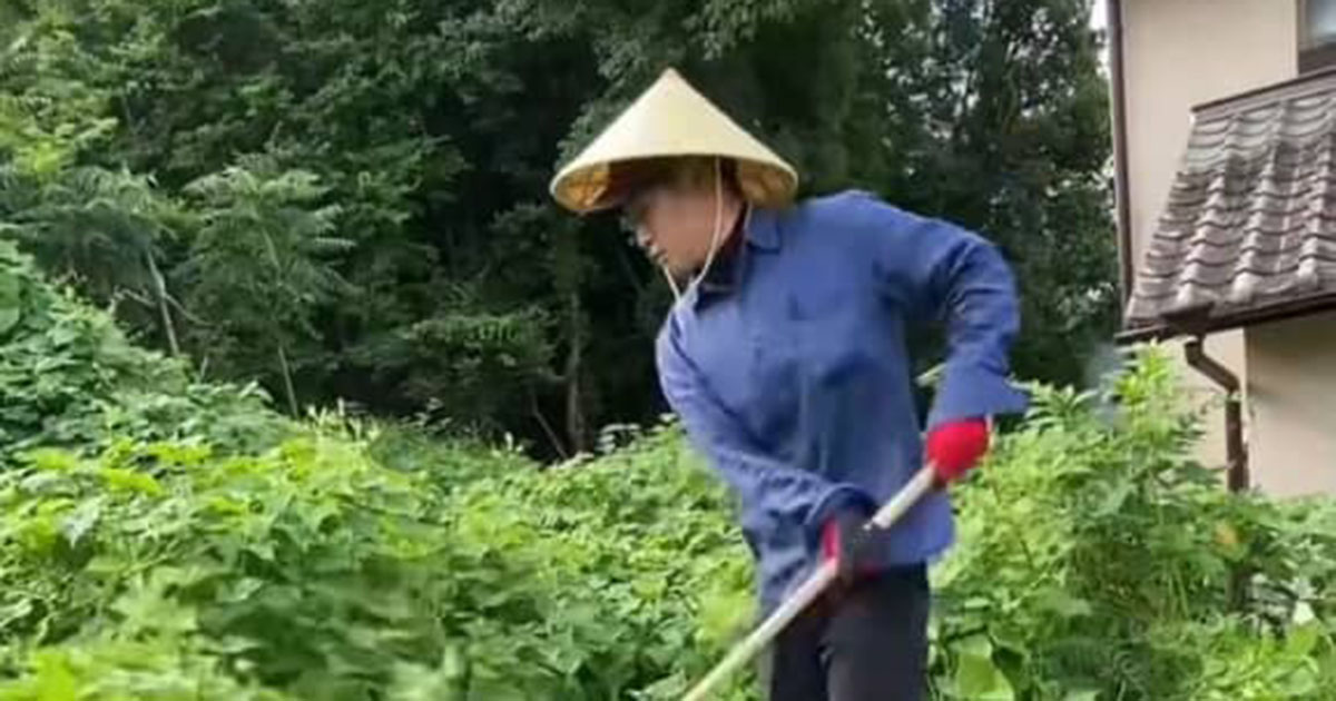 じいちゃんが遺した「雑草ボーボーの荒れ地」→孫が段ボールをびっしり敷いて、1カ月後…… 目を疑う光景に反響(1/2) | ライフスタイル ねとらぼ