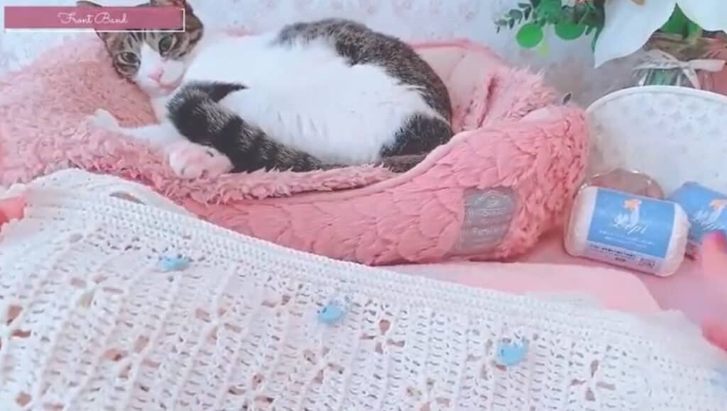 前立てを編みました