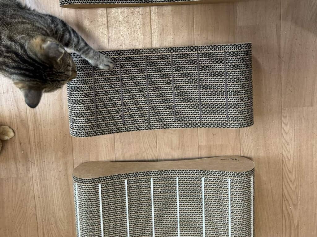 保護猫カフェで検証を実施し、やすりの色を茶色に変更