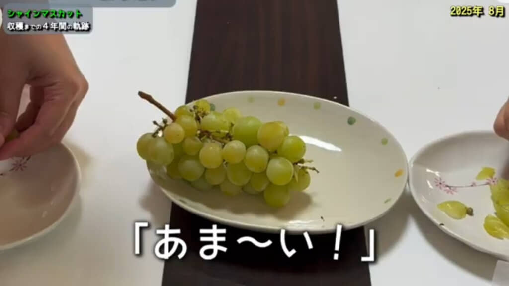 味もちゃんと甘く仕上がり、1回目の収穫としては大成功に終わりました
