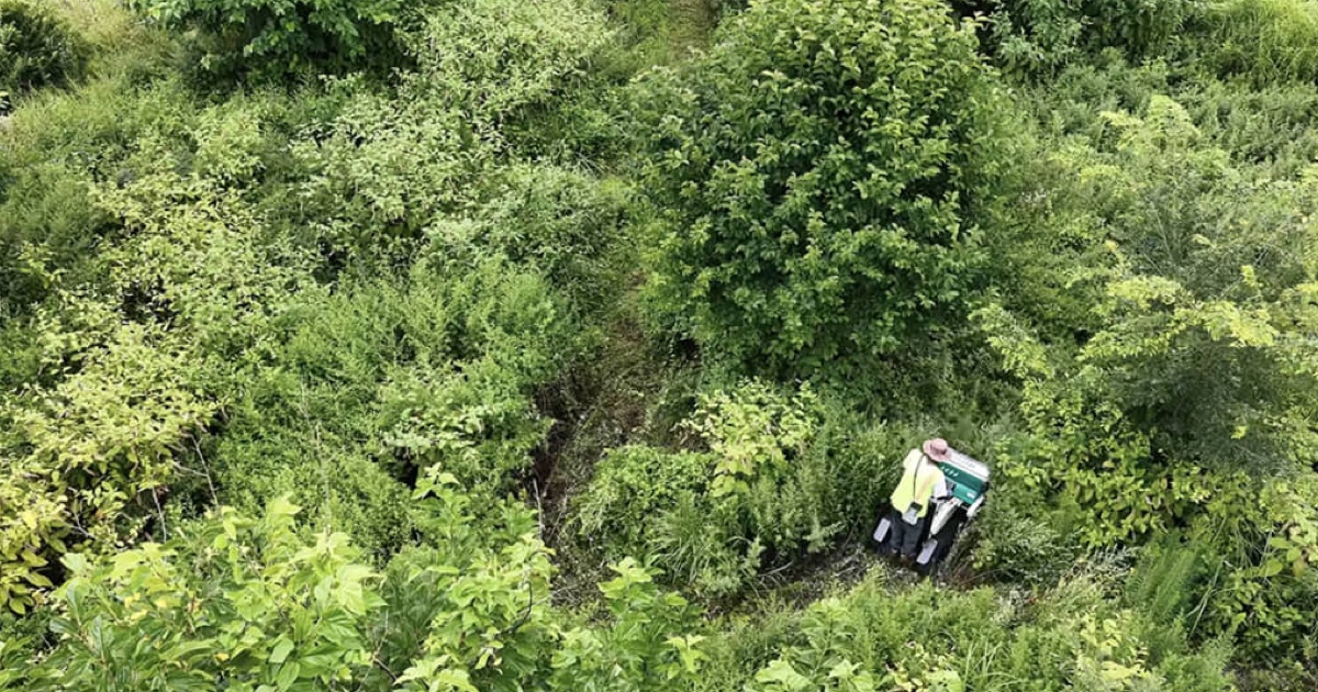 雑草ボーボーの荒れ地→150万円の草刈機で刈ったら……　目を疑う光景に「すごい」「ドキュメントを観ているよう」（1/2） | 住まい ねとらぼ