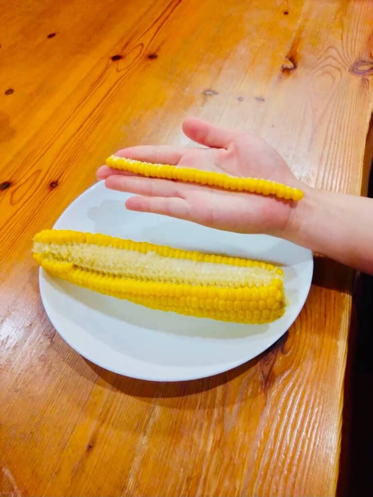 とうもろこしのきれいな一列