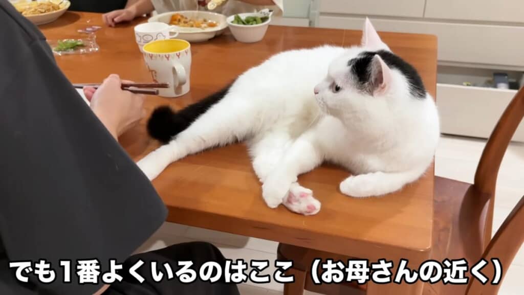 しかし、定位置はテーブルの上
