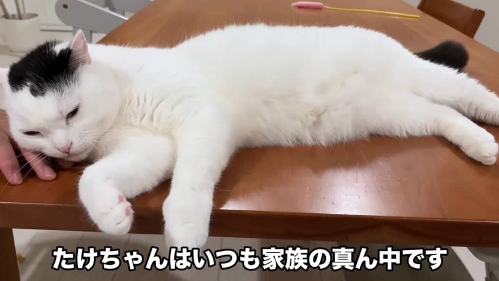 たけるくんはいつも家族の真ん中