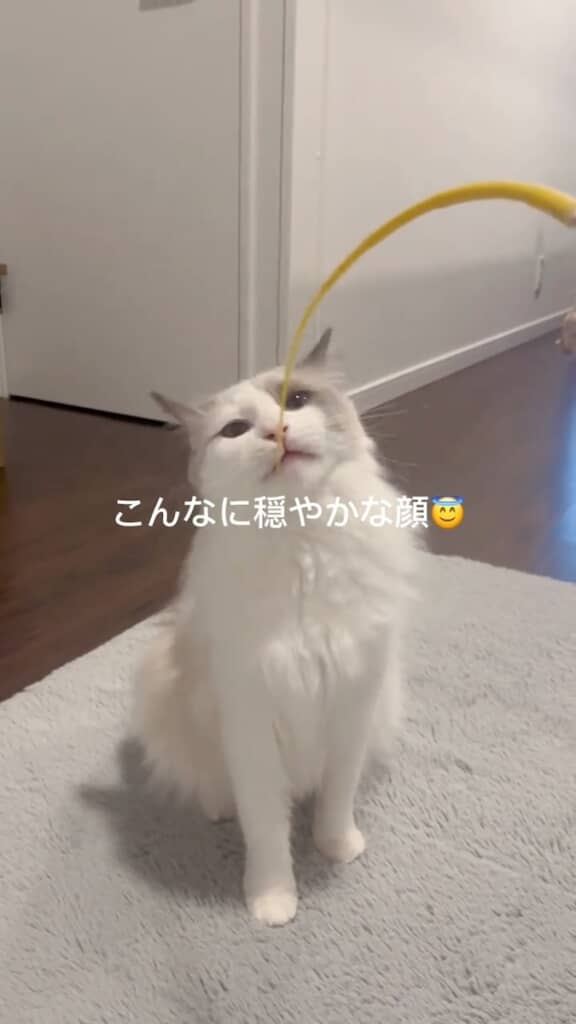 ママと遊んでいるときは、穏やかな表情で楽しそう！