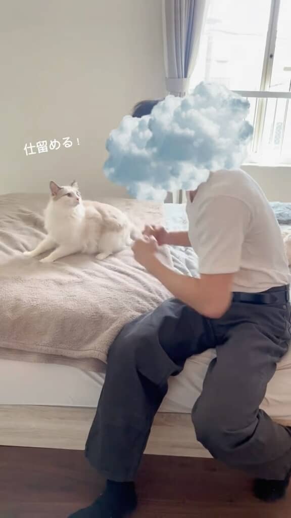 飛びかかる前のノエルくん