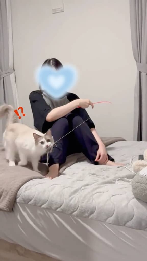 ママと遊んでいるときも、パパを見つけると様子が一変