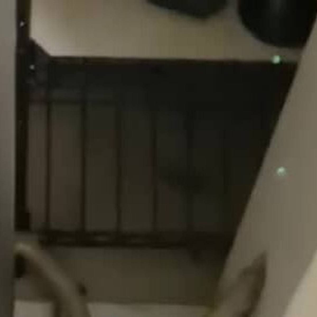 自宅1階にいる妻と犬が「ギャー！」→見に行くと……心臓跳ねる光景に「これはホラー」「半日寝込むかも」（1/3） | ライフスタイル ねとらぼ