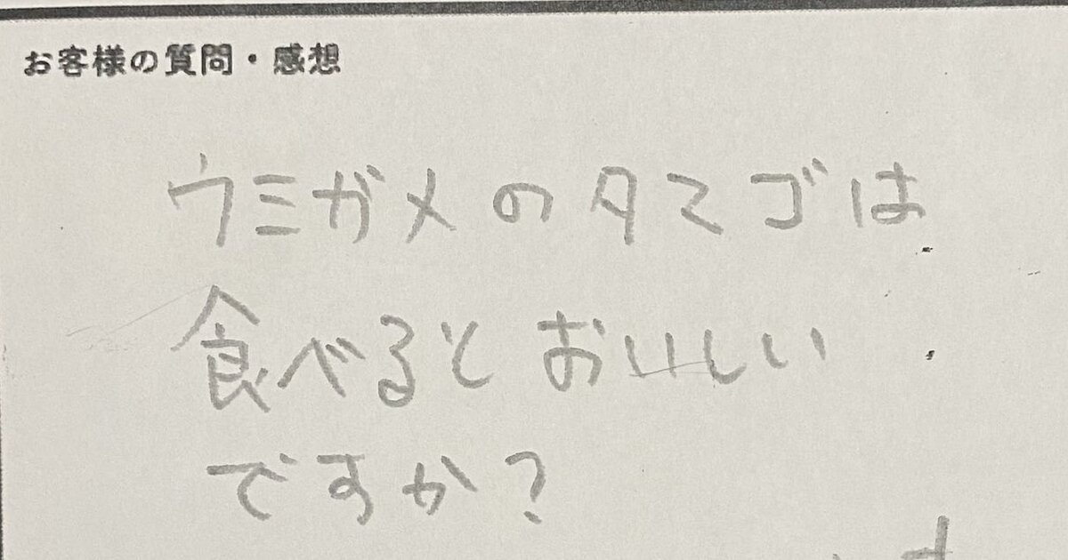 客「ウミガメのタマゴはおいしいですか？」→飼育員の意外な回答に「ぶっ飛んでて好き」「なんてためになる」（1/3） | その他生き物 ねとらぼ