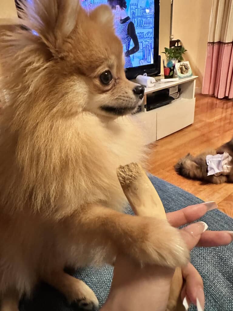 真剣なまなざし