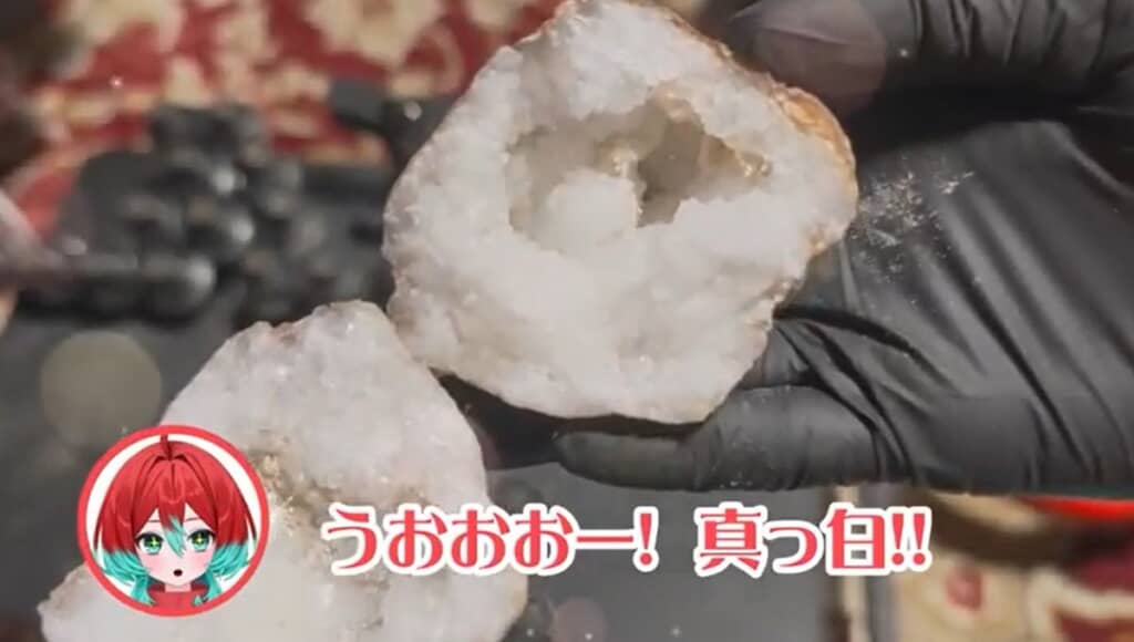 中が真っ白なものも