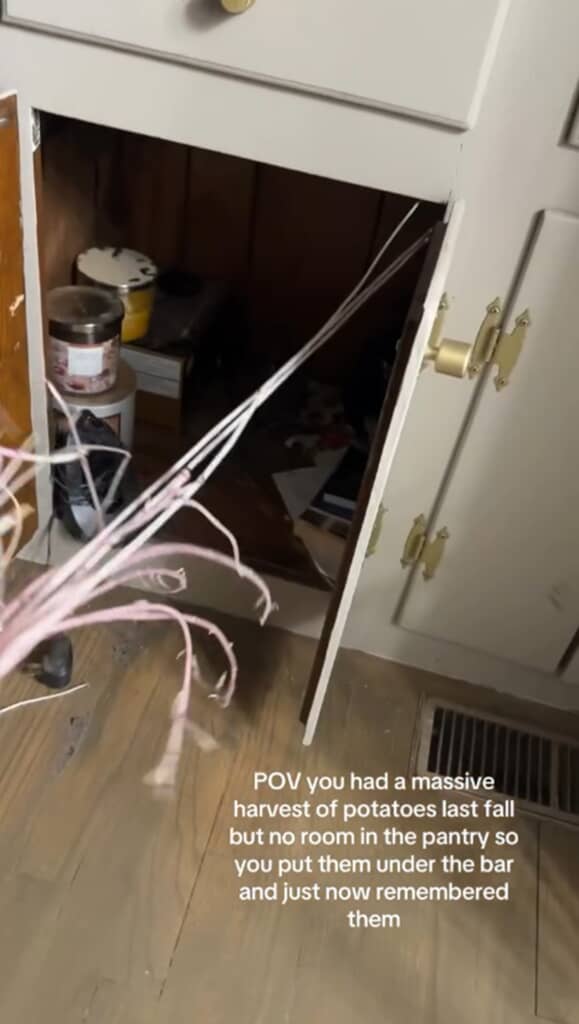 戸棚を開けるとなにやら細長く伸びるものが