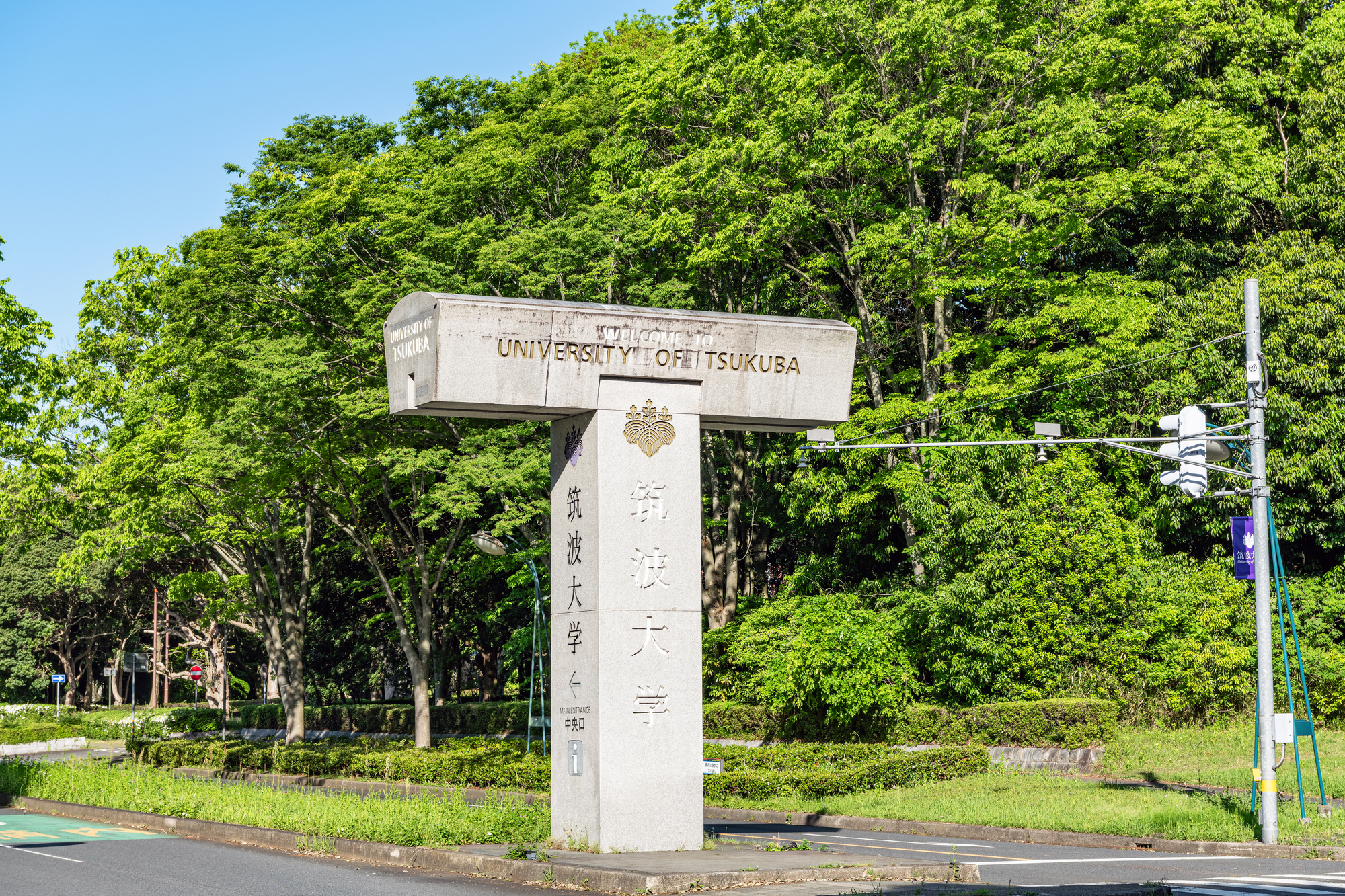 本当に人生が変わったと感じた」 “東大・京大以外で入学してみたい国立
