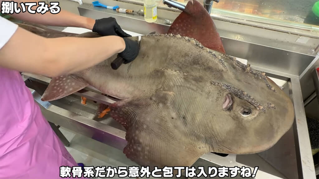 意外と簡単に包丁が入りました