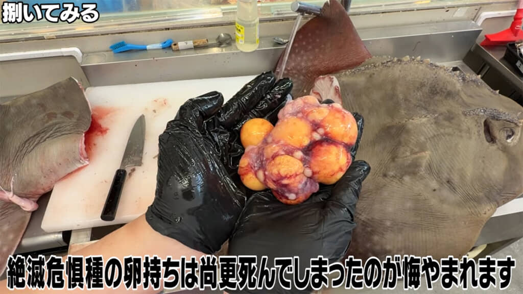 卵を持っていました