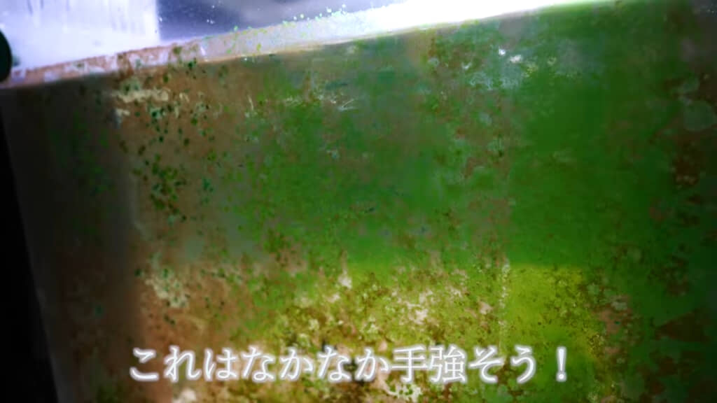 中が見えない……！