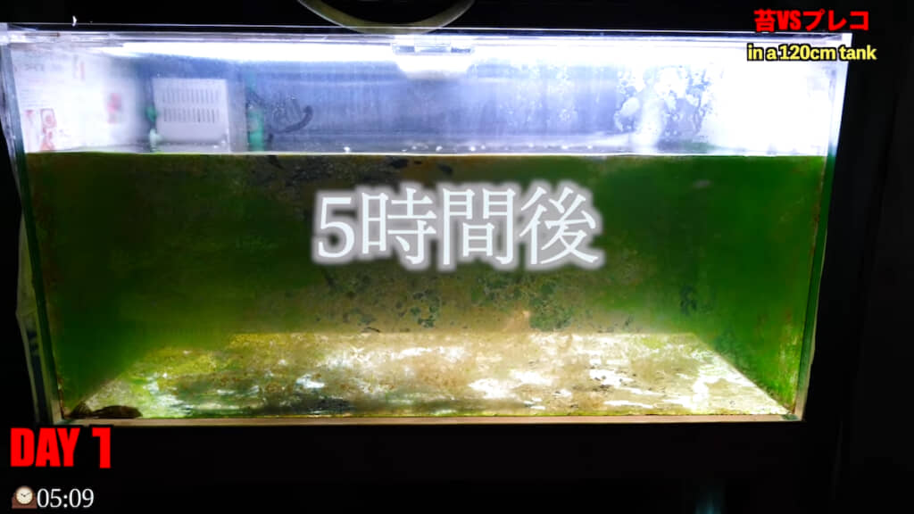 5時間後には中が見えてきた