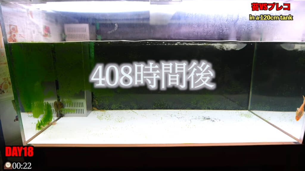 18日目に入る頃には一部を除きほとんどキレイに