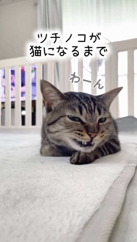 お名前を呼ぶとお返事してくれました