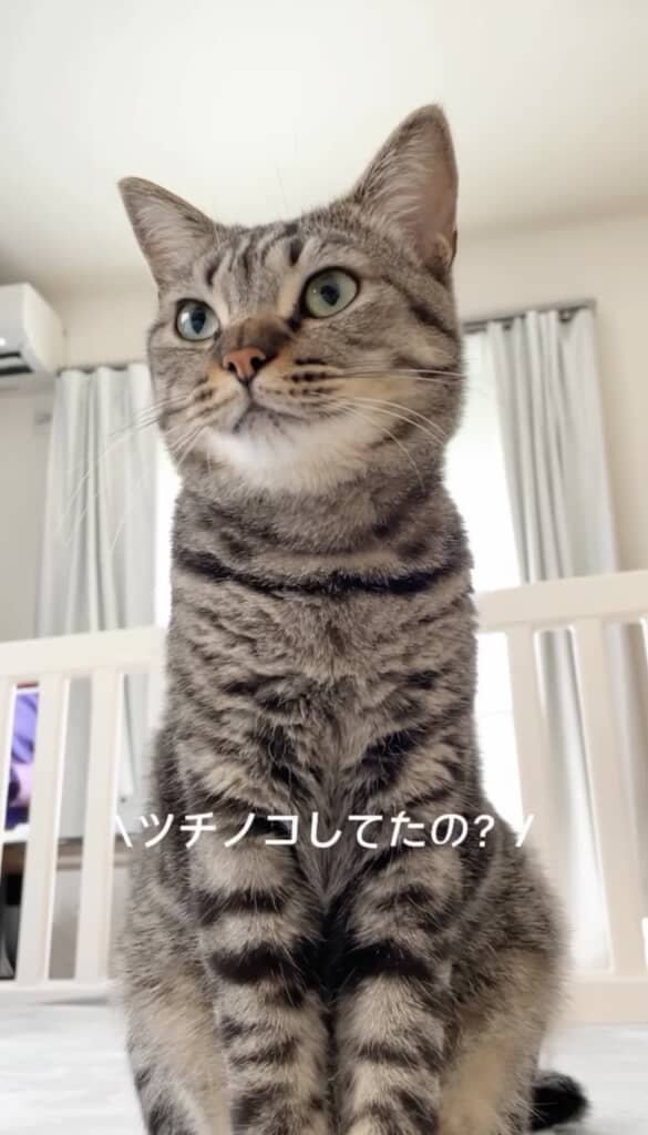 「ツチノコしてたの？」と聞くと