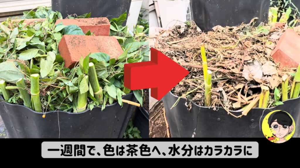 残渣と雑草を積んだレイズドベッドのビフォーアフター。画像右が1週間後の様子