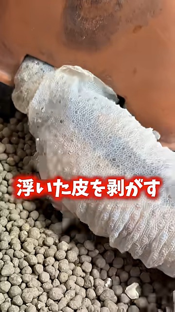 まずは大きな部分から脱いでいくもよう