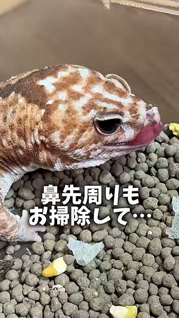 いぶくん「ふ~、すっきり」