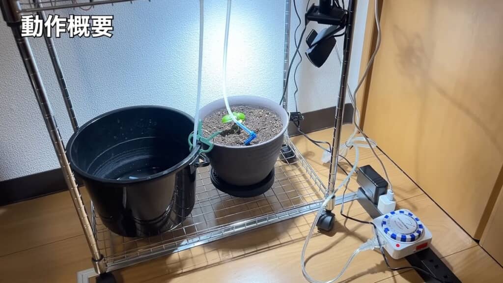 真上のLEDライトに照らされているバジル