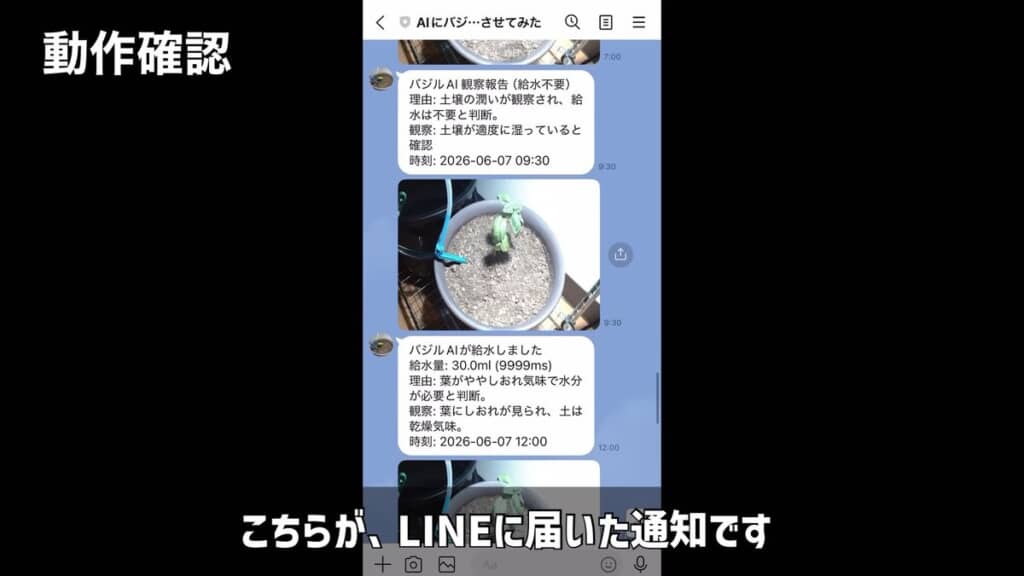 LINEに届いた判断結果の文面と添付された写真