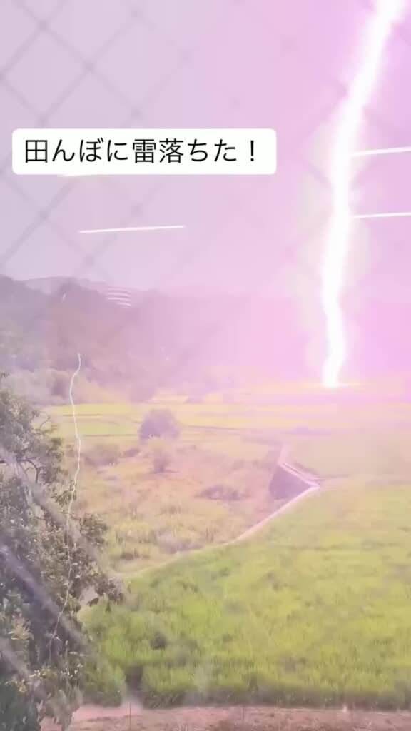 田んぼの一角に落ちた雷