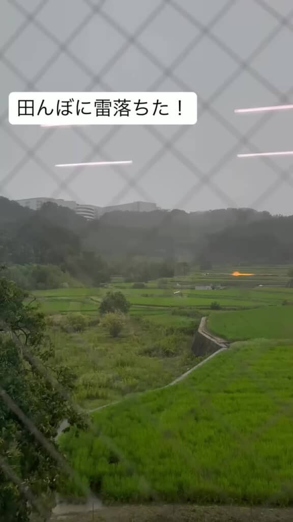 雷が落ちて周囲が燃えている田んぼの一角