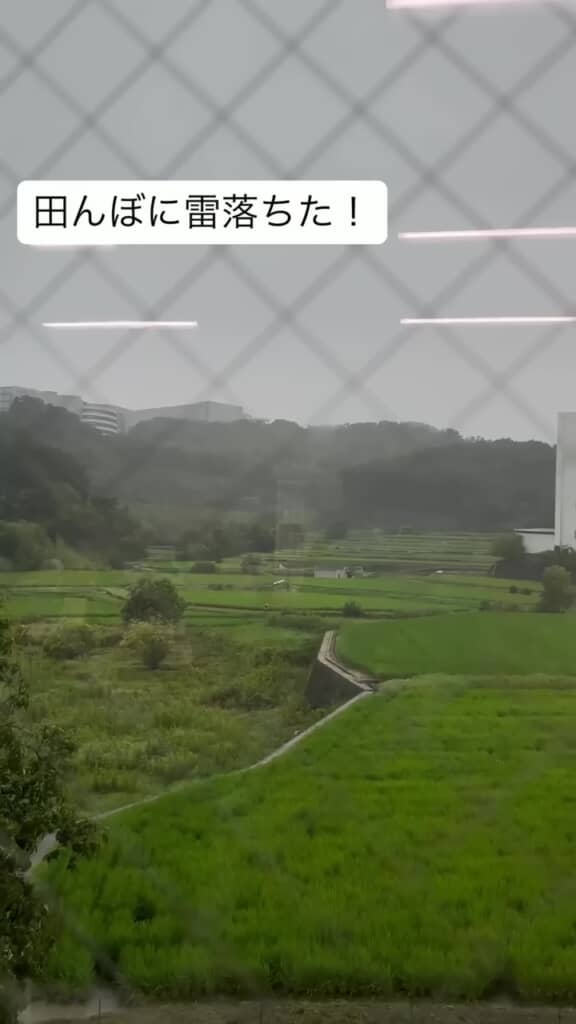 雷の落ちた場所から上がる白煙