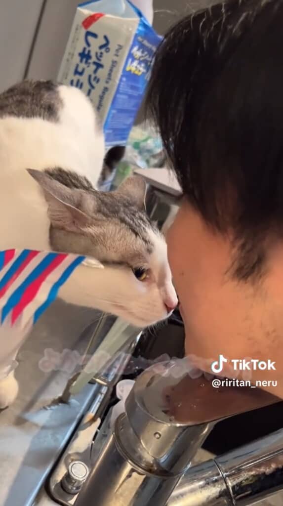 息子さんに顔を近づけるくぅちゃん