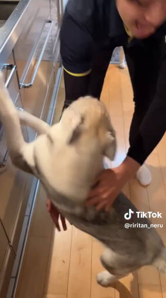 自分だけを見て欲しいららちゃん