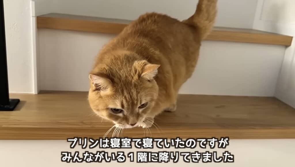 1階に降りてきました